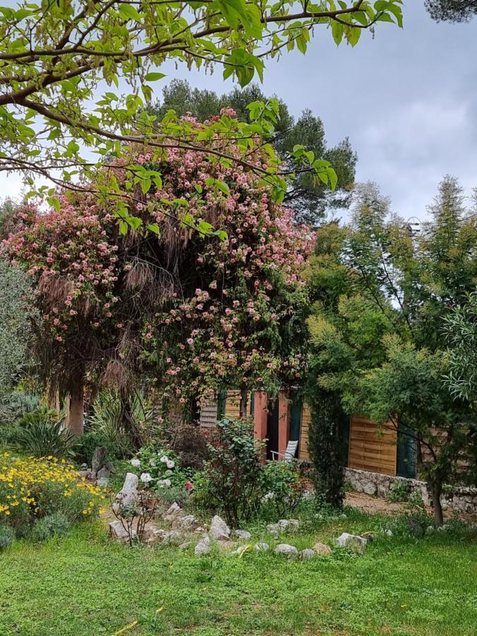 Mas D'Azur Bed & Breakfast Roquefort-les-Pins Exterior photo