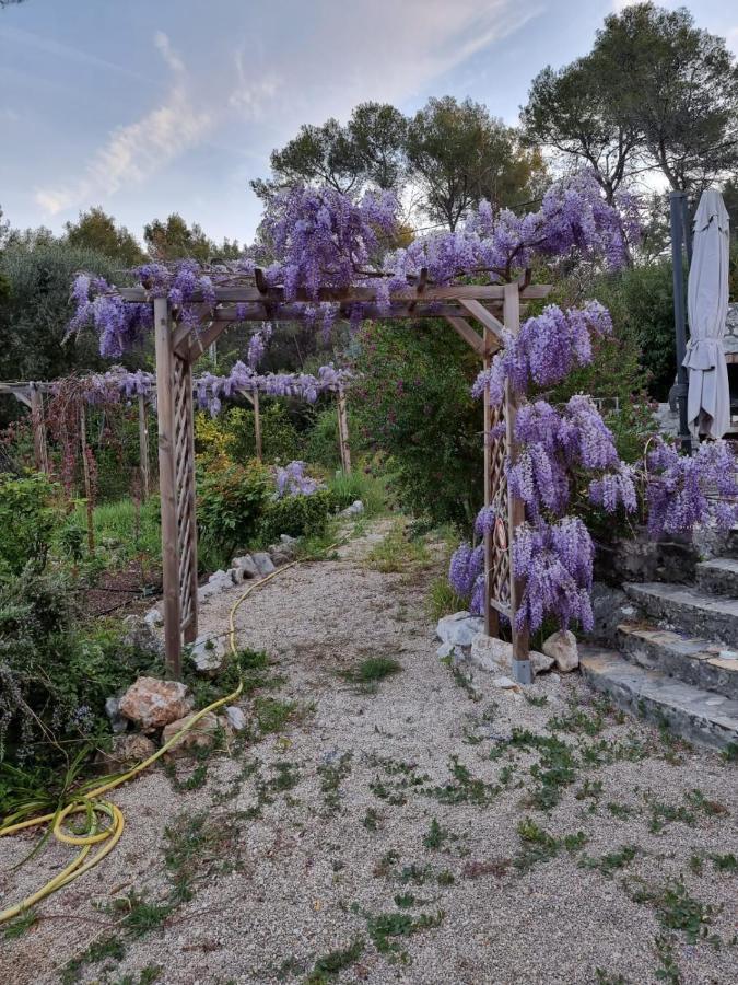 Mas D'Azur Bed & Breakfast Roquefort-les-Pins Exterior photo