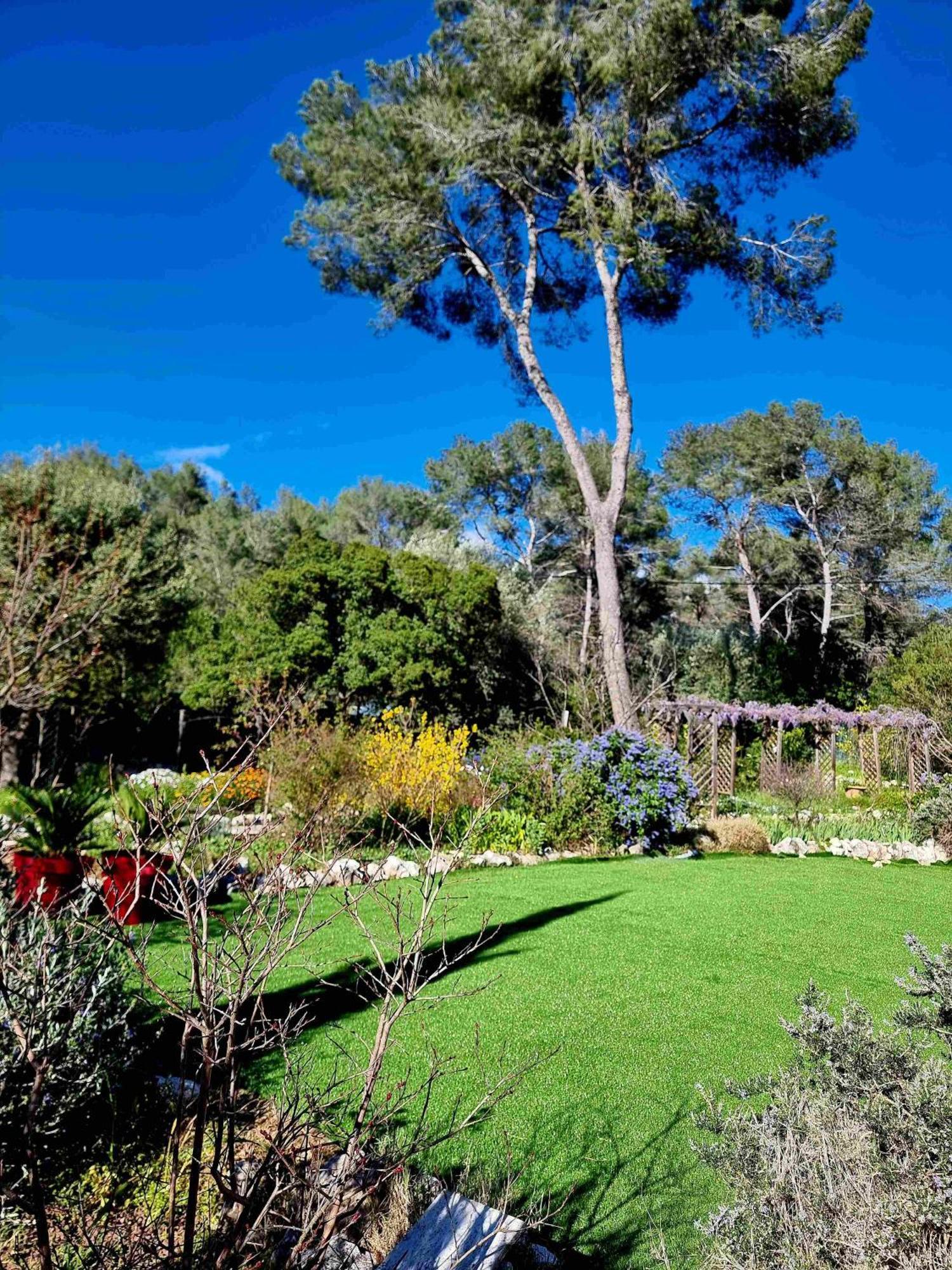 Mas D'Azur Bed & Breakfast Roquefort-les-Pins Exterior photo